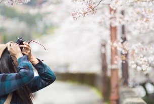 China's one-day Qingming Festival travel income up nearly 30%, showing solid recovery