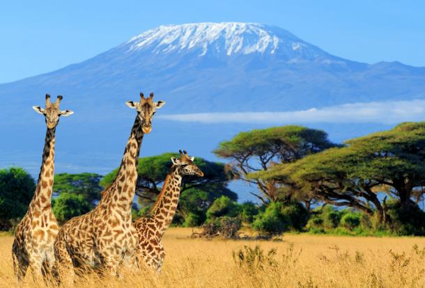 Kenya unveils platform to woo Chinese tourists